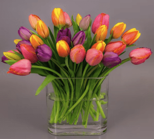 We take either 30 stems or 20 stems, depending on your preference and arrange them in classic envelope vase for this simple yet breathtaking arrangement. We cut fresh tulips daily and colors vary. 