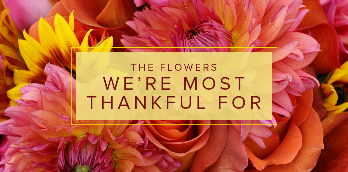 These Are the 5 Flowers We're Most Thankful For Currans Flowers