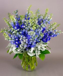 A striking display of beautiful blue delphinium gathered in our exclusive Tokyo vase, the Azule arrangement makes quite a statement.