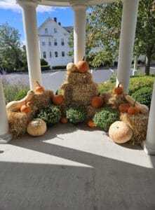 Fall installation by Wally 1