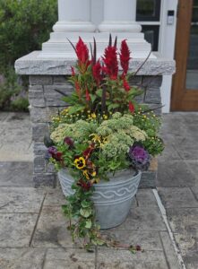 Fall installation by Wally 2